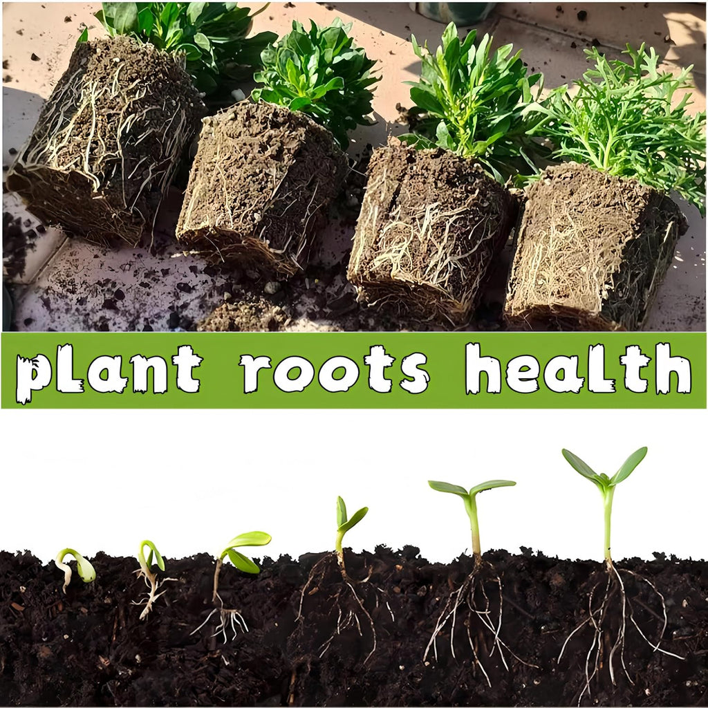480 Cells Seed Starter Tray, 48 Pack Biodegradable Peat Pots, Seed Starter Kit for Seedlings with 48 Labels