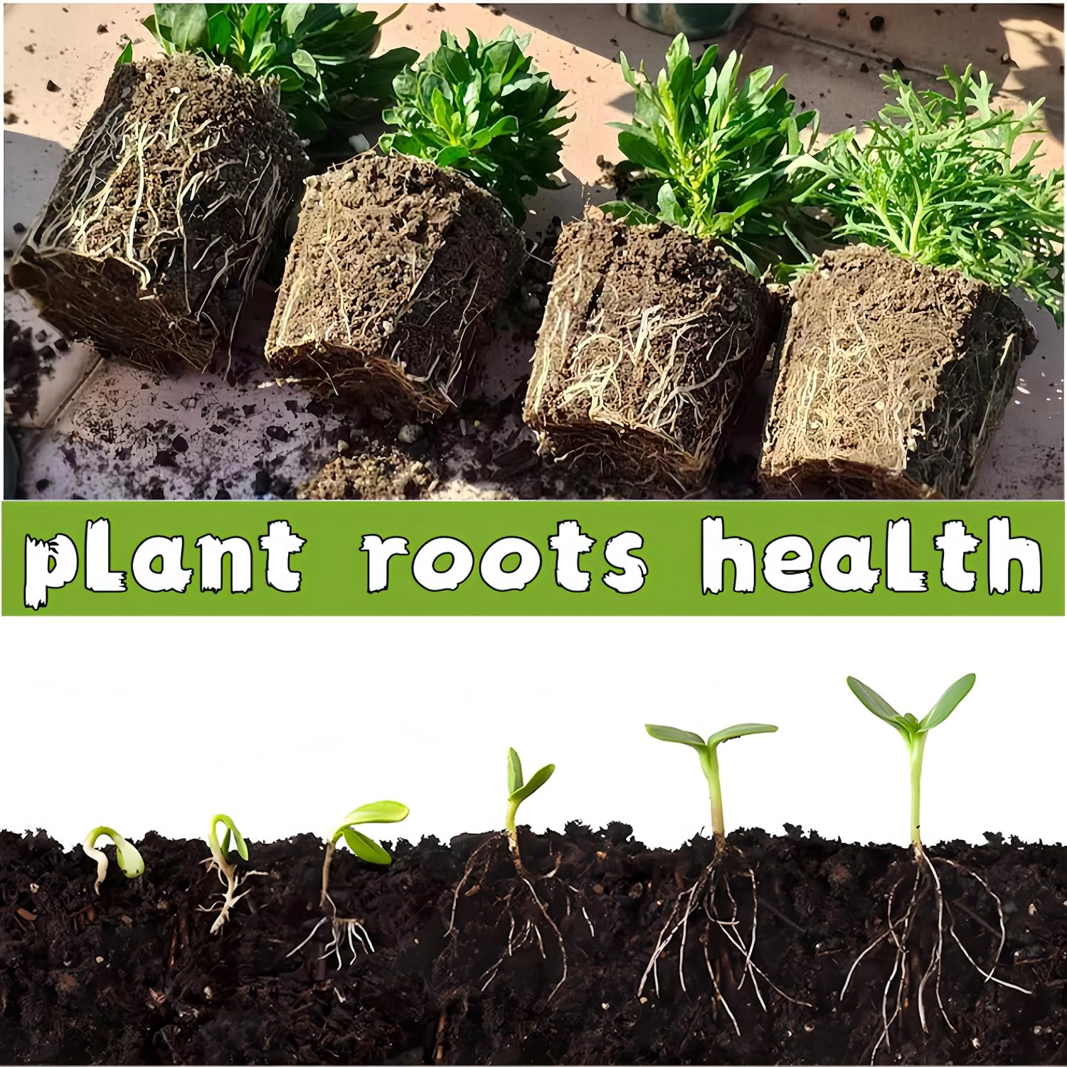 480 Cells Seed Starter Tray, 48 Pack Biodegradable Peat Pots, Seed Starter Kit for Seedlings with 48 Labels