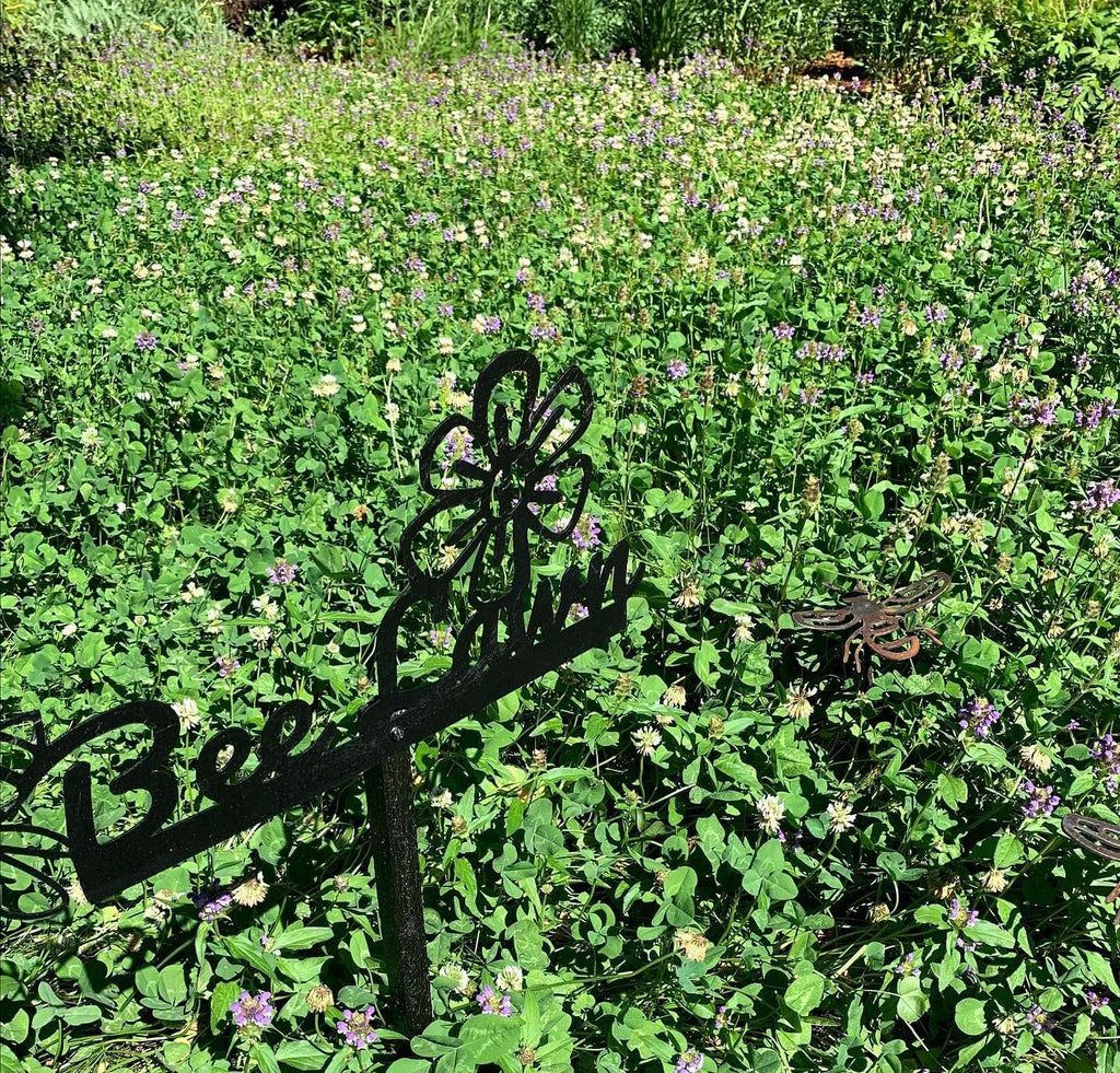 Native Bee Lawn - Native Wildflowers Mix, 25 lb