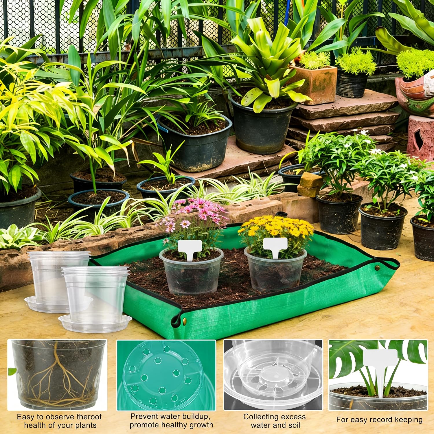 12PCS 5.75/7/8/10 in Clear Nursery Pots with Drainage Plant Pots | For Plants Seedling Flower Vegetables Orchids