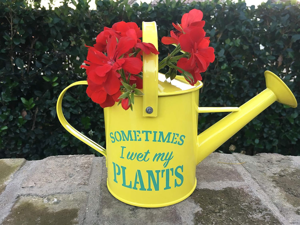 Small Indoor Watering Can - Gardening Gifts for Women -Sometimes I Wet My Plants- 1.6 L - Cute Watering Can for