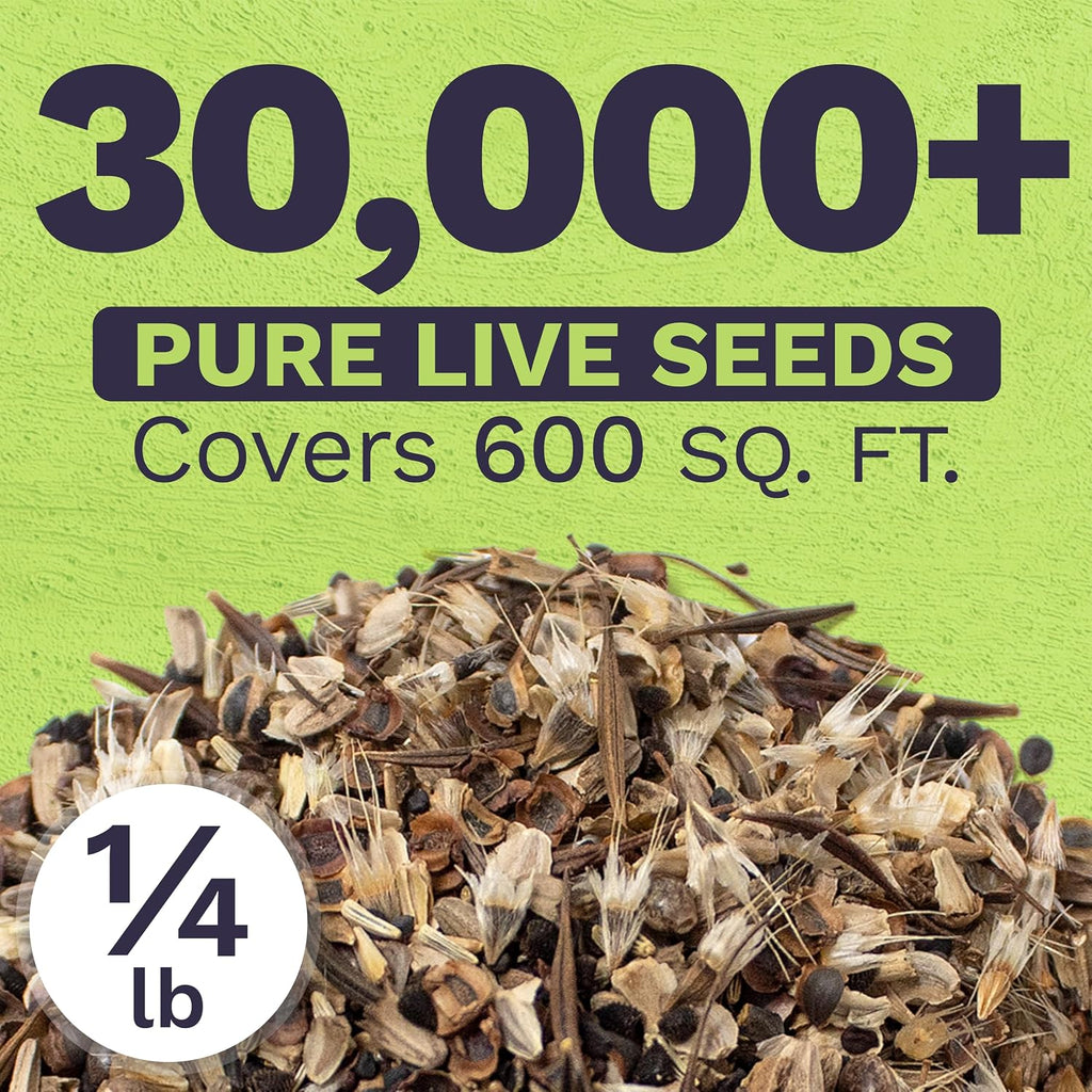 Cut Flower Garden Seeds - Bulk 1/4 Pound Bag - Over 30,000 Fresh Open Pollinated Non-GMO Wildflower Seeds - Long