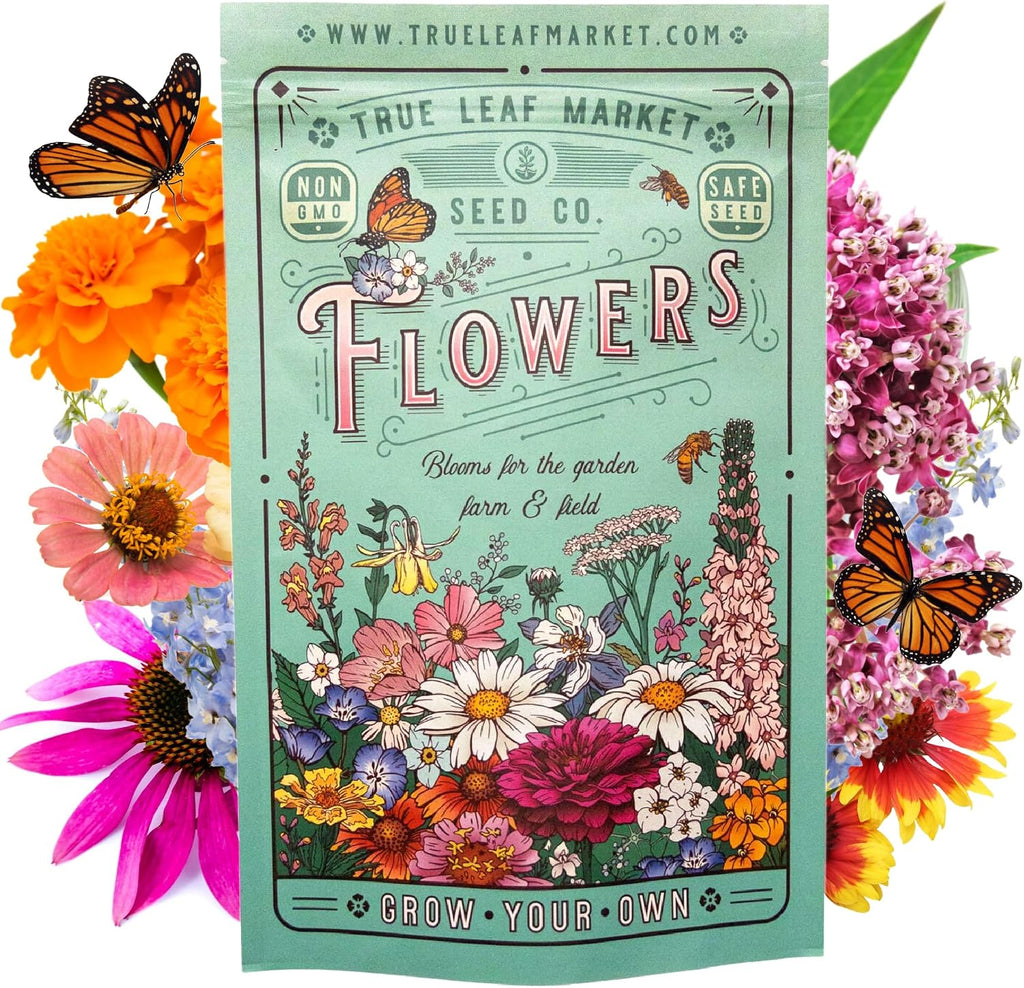 Mountain Valley Seed Co Wildflower Seeds - Meadow Wildflower Seed Mix 5 Lb | Annual & Perennial Wild flowers Seeds for