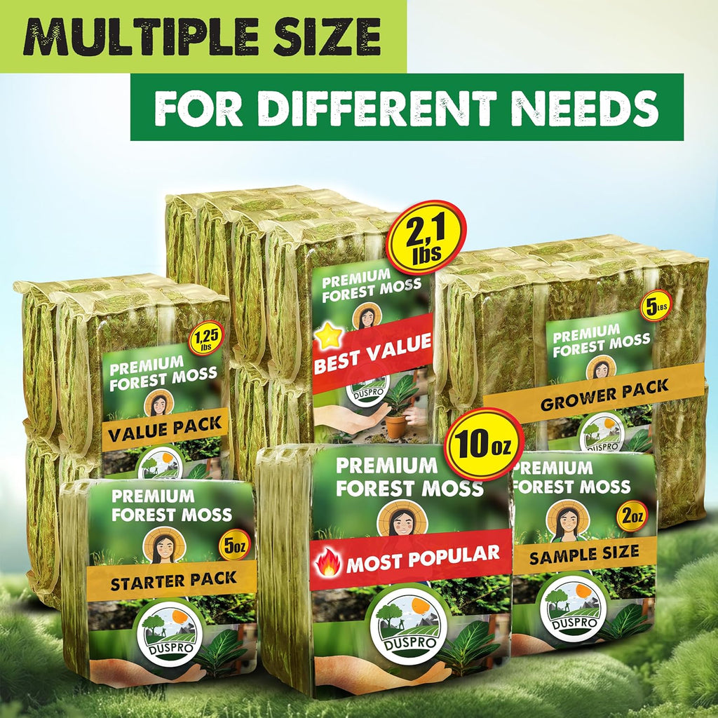 2.1 LBS Real Dried Forest Moss for Potted Plants, Plant Propagation | Hand-Picked & Clean, Easy to Rehydrate, Balanced