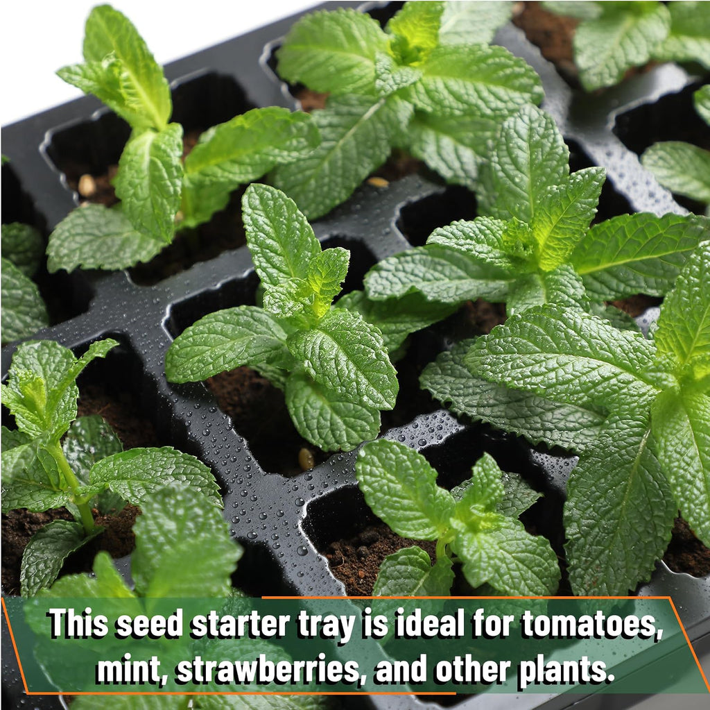 Mr. Pen- Seed Starter Tray Kits, 10 Pack, Total 400 Cells | Durable Plant Germination Trays with Humidity Vented Domes