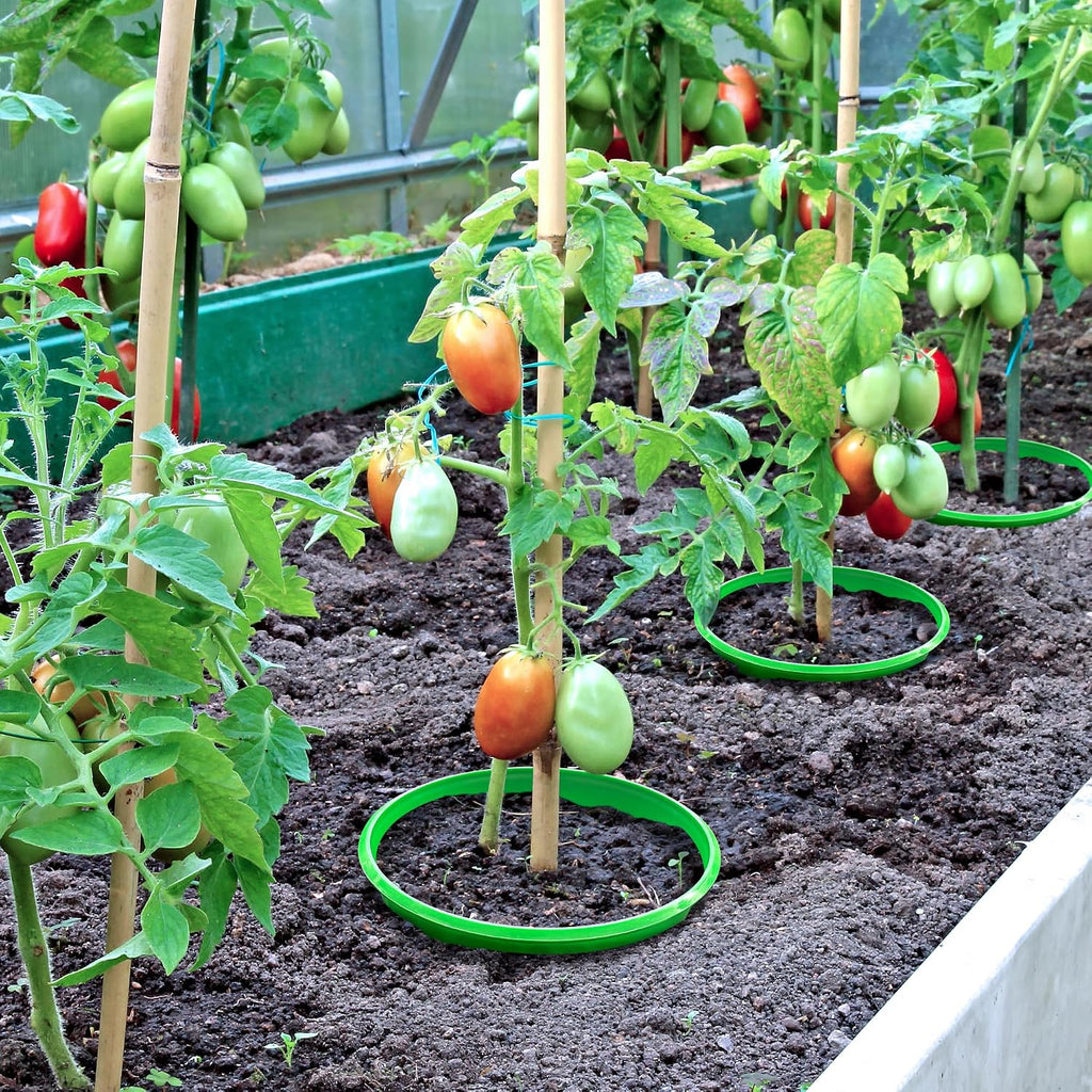 EBaokuup 6 Pcs 10 Inch Planting Grow Rings-Planting Protective Round Edging to Separate Rock and Pest-Planting Rings