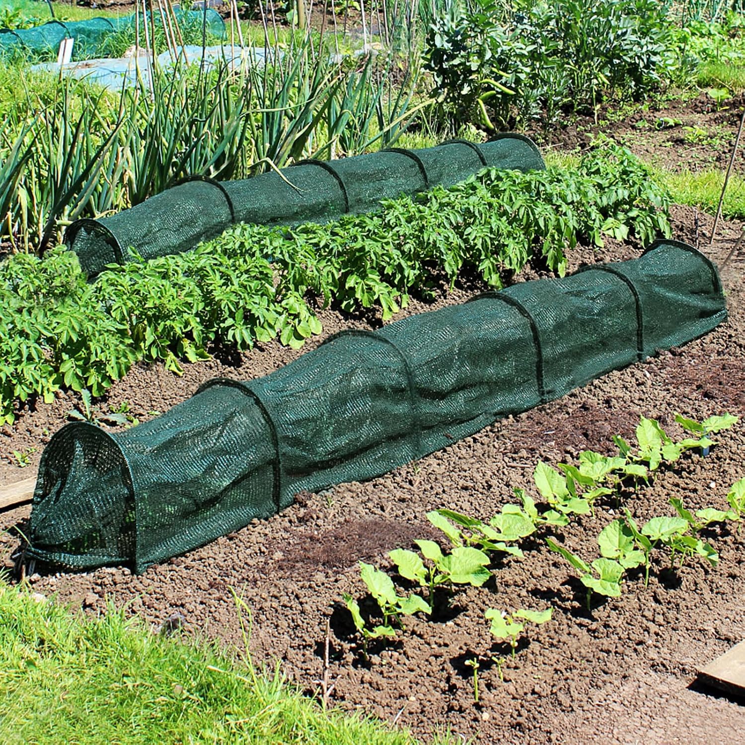 2 in 1 Portable Greenhouse Protection from Sun Heat,Garden Tunnel Shade Net Cover with Quick-Release Technology,Row