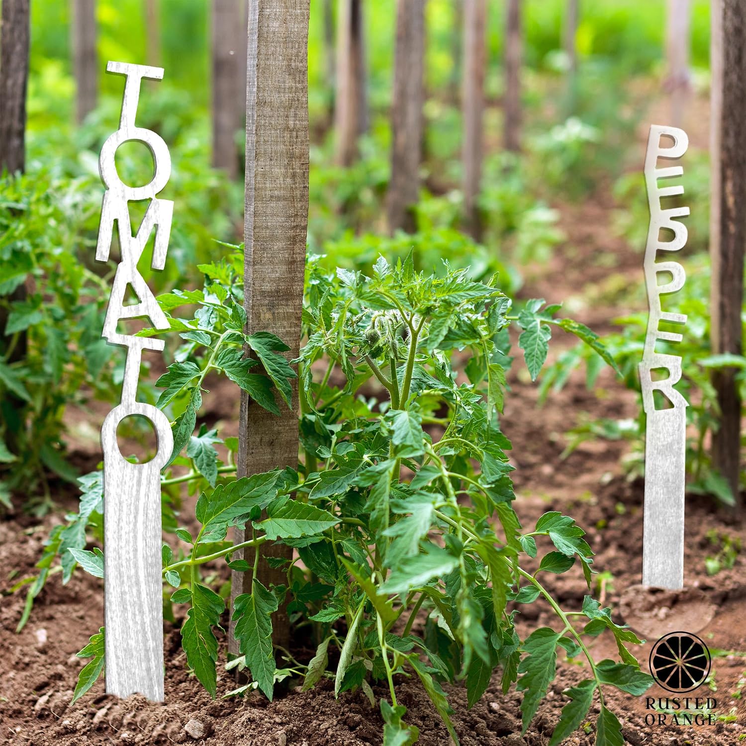 Spell It Out Personalized Metal Garden Plant Markers - Set of 7 - 80 Plant Varieties - Vertical Stacked Name Stakes for