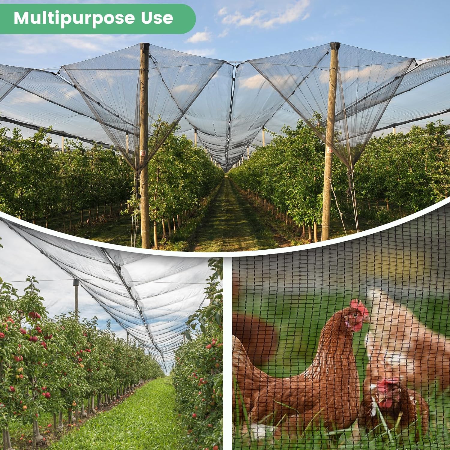 10 x 10 FT Protection Garden Netting | 30% with Brass Grommets Anti Squirrels and Other Animals and Hail Cover for