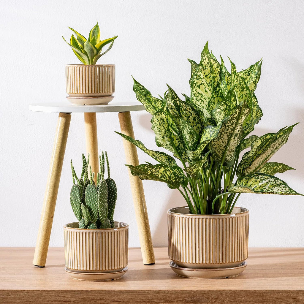 SURE YUESI Ceramic Plant Pots Set of 3, Indoor Outdoor Planters with Drainage Hole and Saucer, Ceramic Flower Pots for