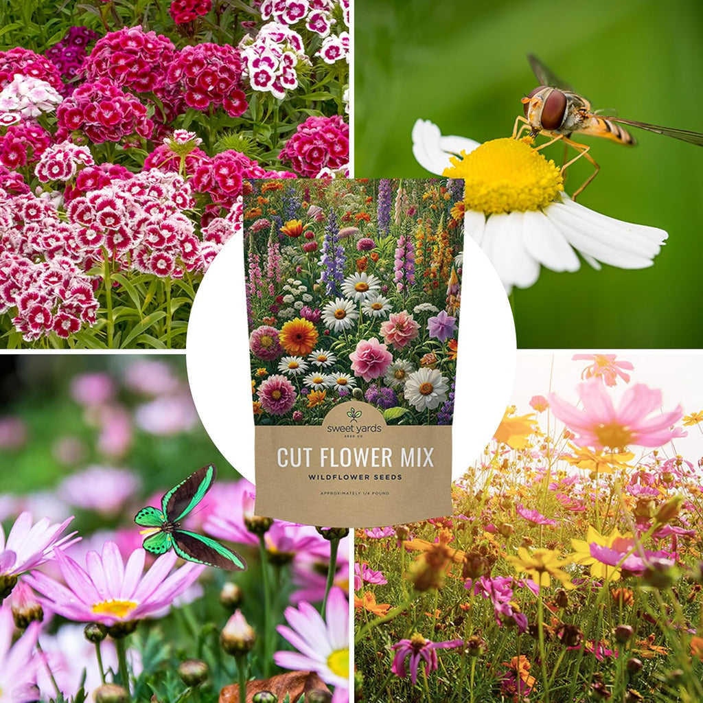 Cut Flower Garden Seeds - Bulk 1/4 Pound Bag - Over 30,000 Fresh Open Pollinated Non-GMO Wildflower Seeds - Long