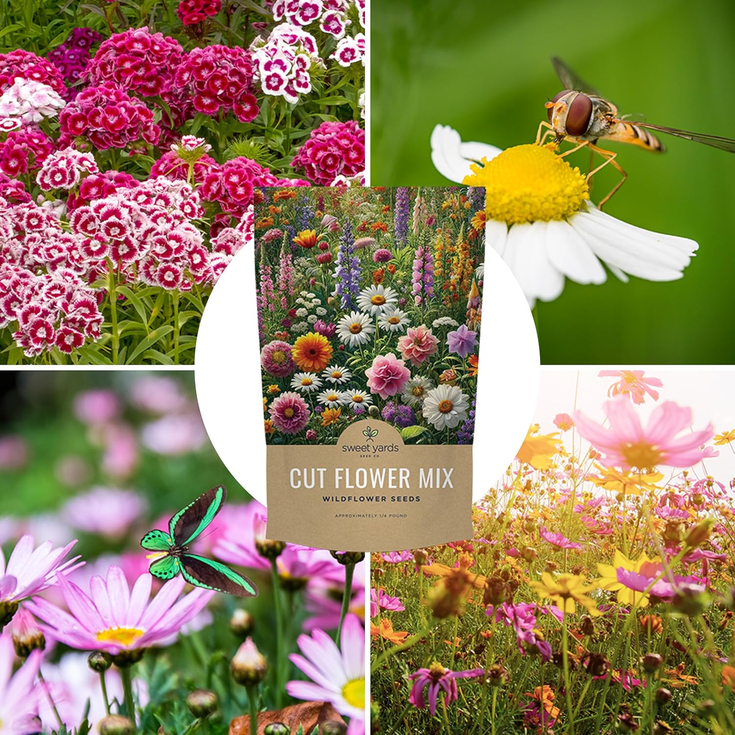 Cut Flower Garden Seeds - Bulk 1/4 Pound Bag - Over 30,000 Fresh Open Pollinated Non-GMO Wildflower Seeds - Long