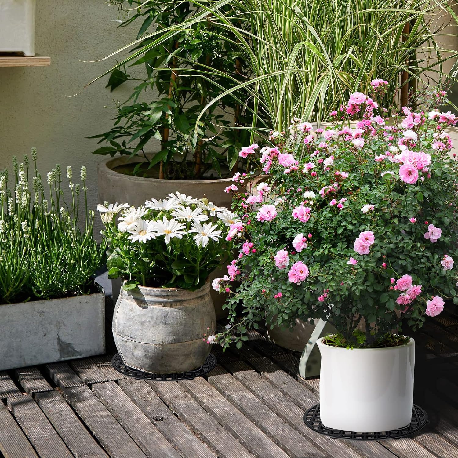 24PCS Plant Level Pot Elevator 8 Inch, Plant Risers for Pots, Heavy Duty Potted Plant Stand, Black Plant Runoff Tray