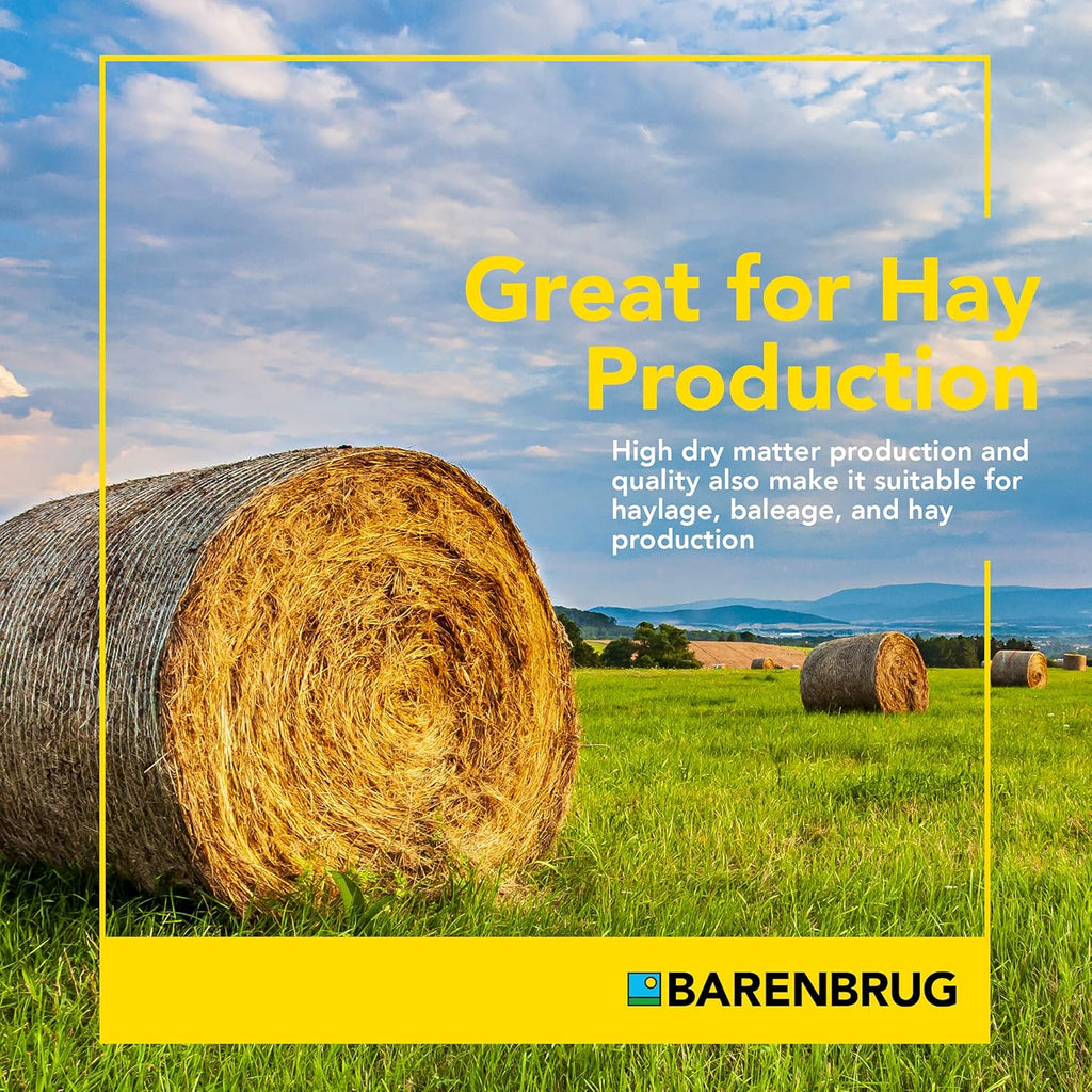 Barenbrug Horsemaster Premium Pasture Grass Seed Mix (25 LB Bag)