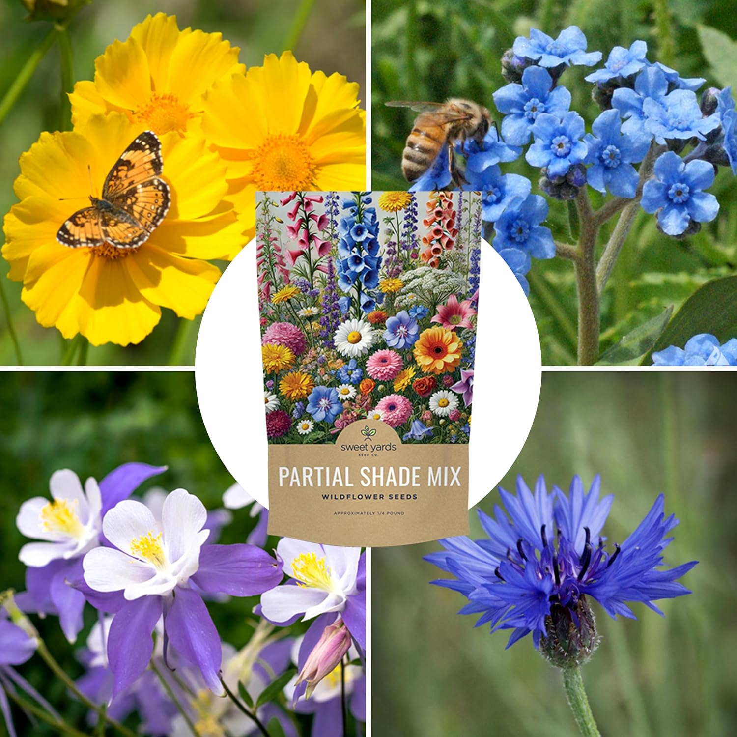 Bulk Wildflower Seeds Partial Shade Mix - 1/4 Pound Bag Over 30,000 Open Pollinated Annual and Perennial Seeds