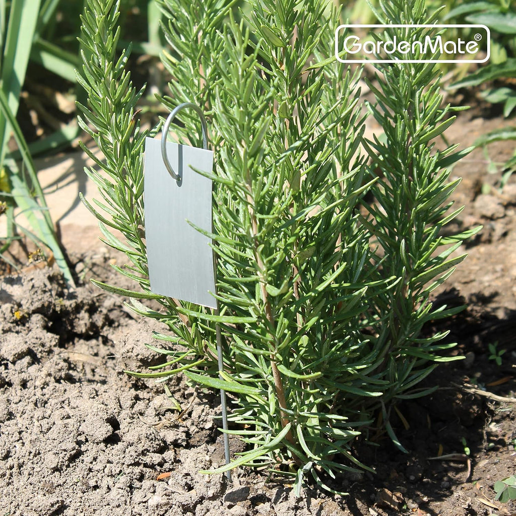 GardenMate 25-Pack Weatherproof Hook Metal Plant Labels Hanging on a Metal Rod, Height 10", Label Area 3'' x 1 3/8''