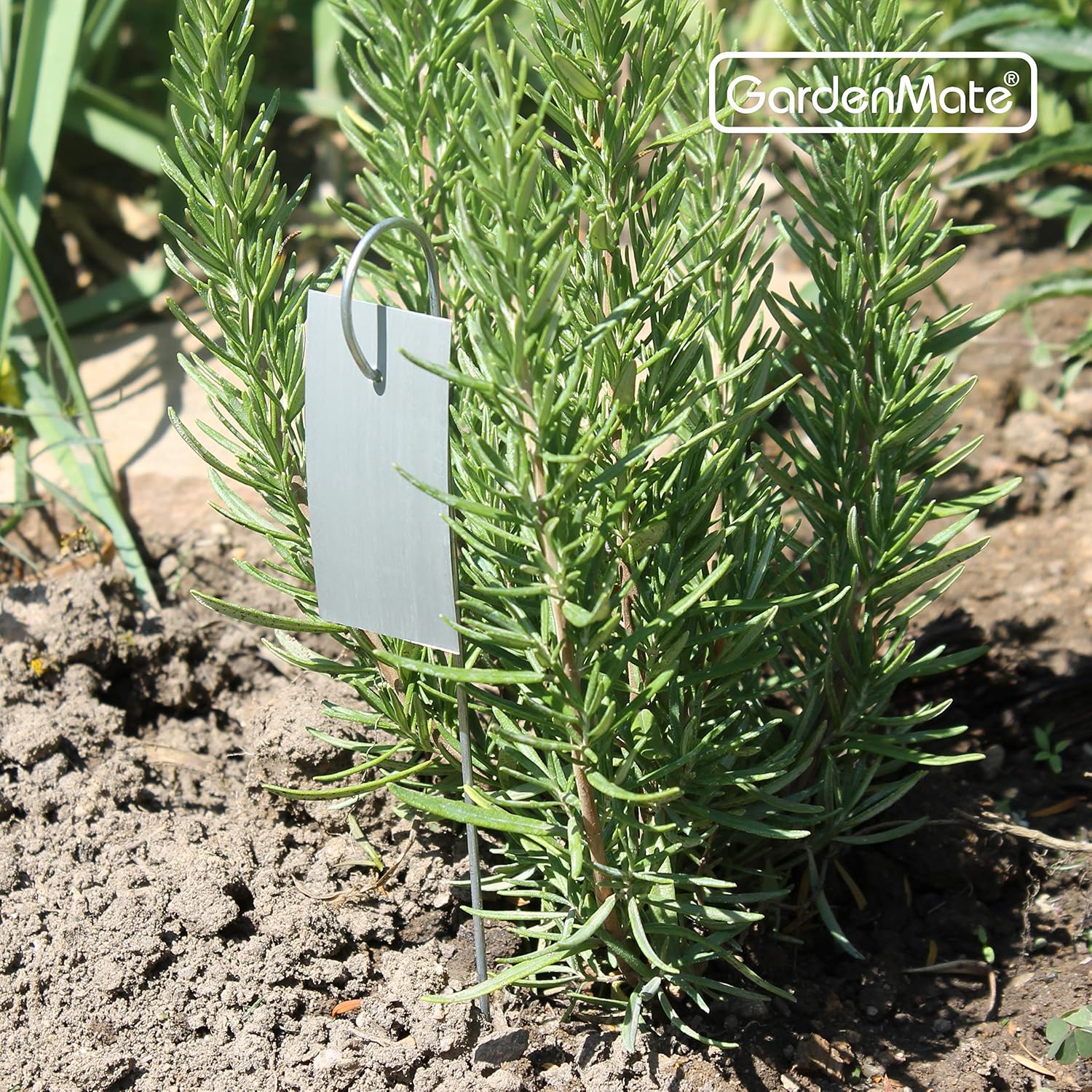 GardenMate 25-Pack Weatherproof Hook Metal Plant Labels Hanging on a Metal Rod, Height 10", Label Area 3'' x 1 3/8''