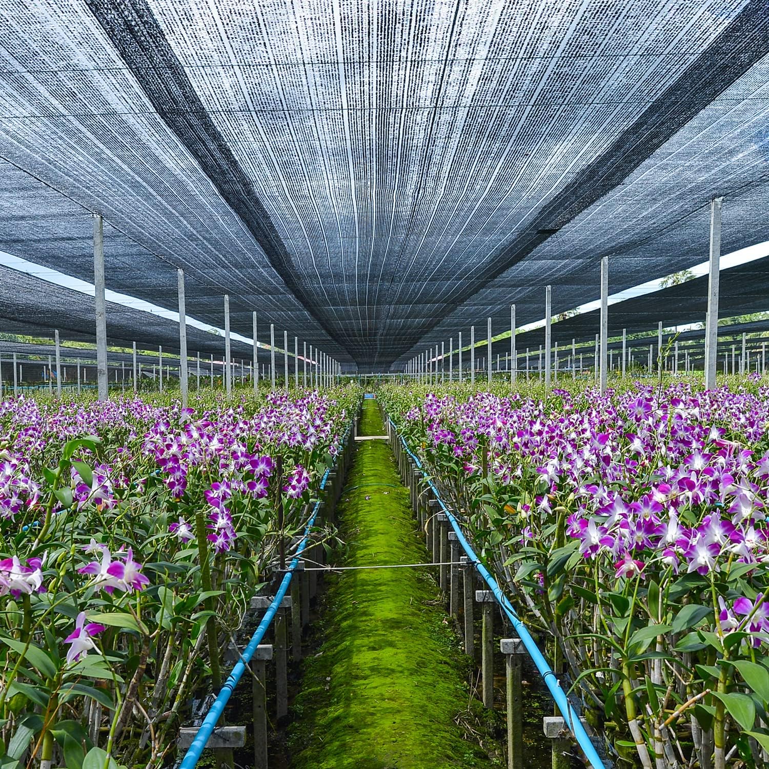 40% Garden Shade Cloth, 20x20FT HDPE Mesh Tarp with Upgraded Grommets | UV-Resistant Outdoor Sun Shades for Greenhouse