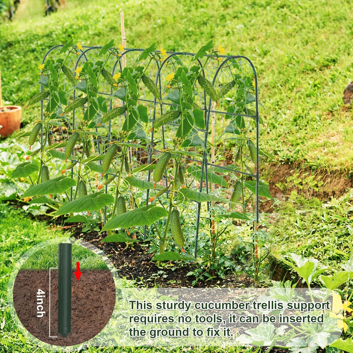 iGreely Cucumber Trellis for Raised Bed, U-Shape Garden Arch Metal Support for Climbing Plants, Metal Arch Vegetables