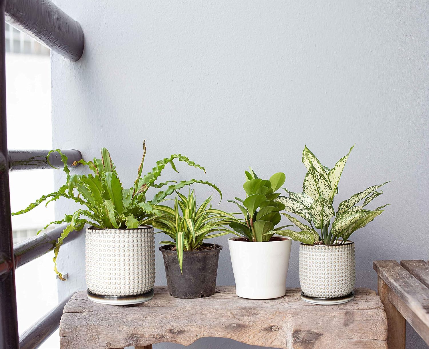 D'vine Dev Beaded Ceramic Planter Pots, 4/6 in, Smoked White, 27-D-U-1 | Embossed Dot Texture, with Drainage Hole and