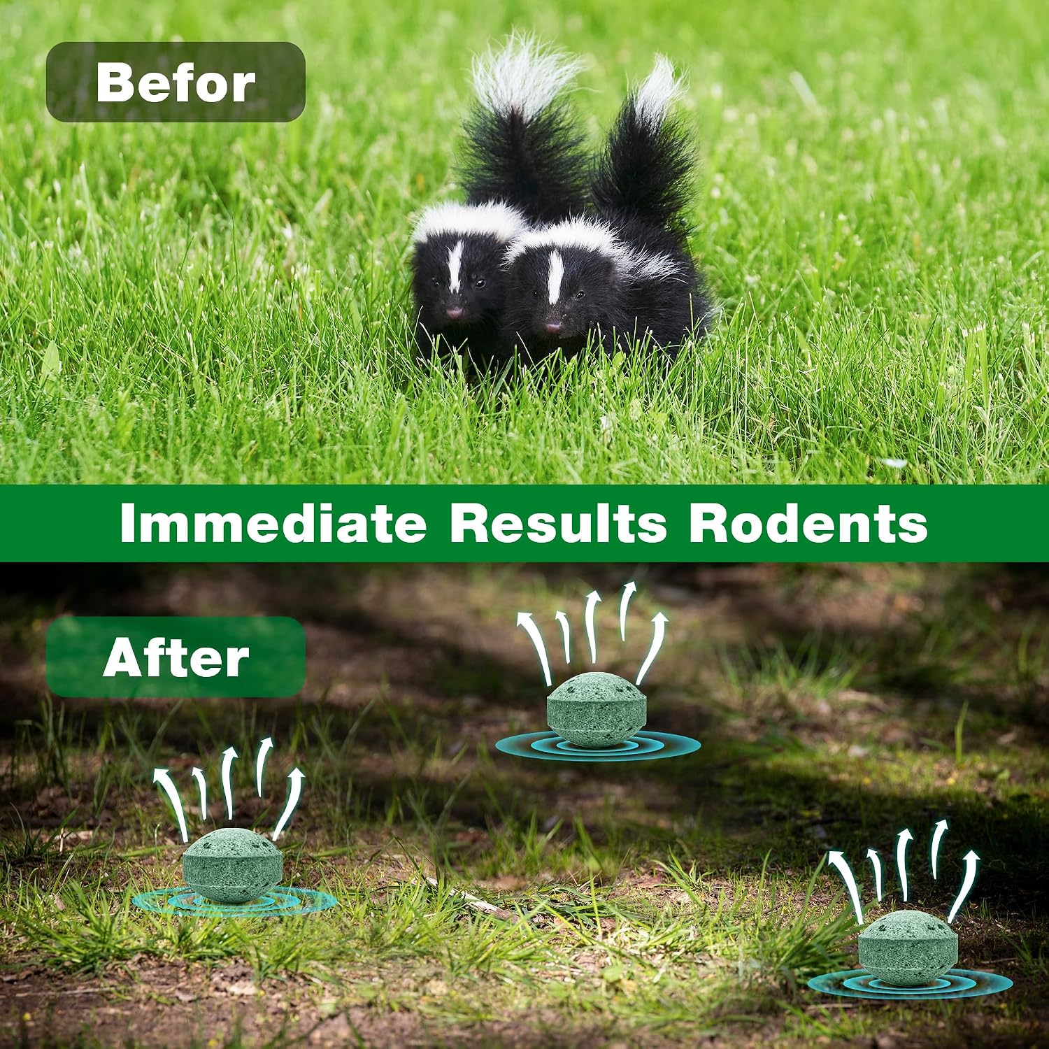24 Pack Skunk Repellent - Raccoon Repellent Outdoor for Indoor Outdoor, Natural Peppermint Oil Safe for Pets & Kids