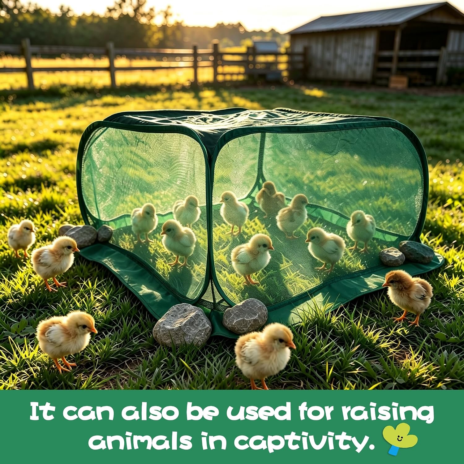 Pop Up Plant Netting Cover 40×40×20” Shade Mesh Cage Shade Top + Mesh Side | Shade Top + Mesh Side