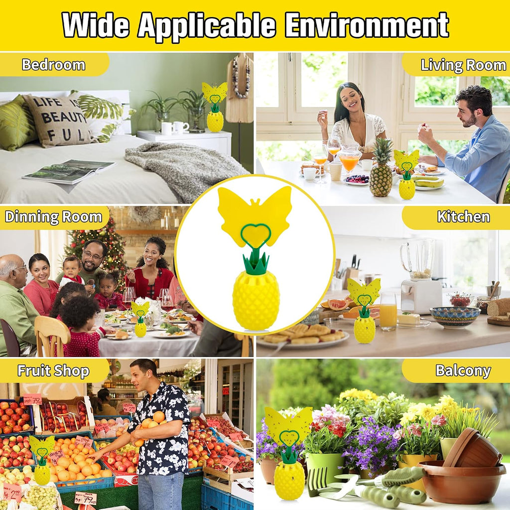 Fruit Fly Trap for Indoors, Effective Fruit Fly Catcher Gnat Killer | with Sticker, Gnat Traps for House Indoor with