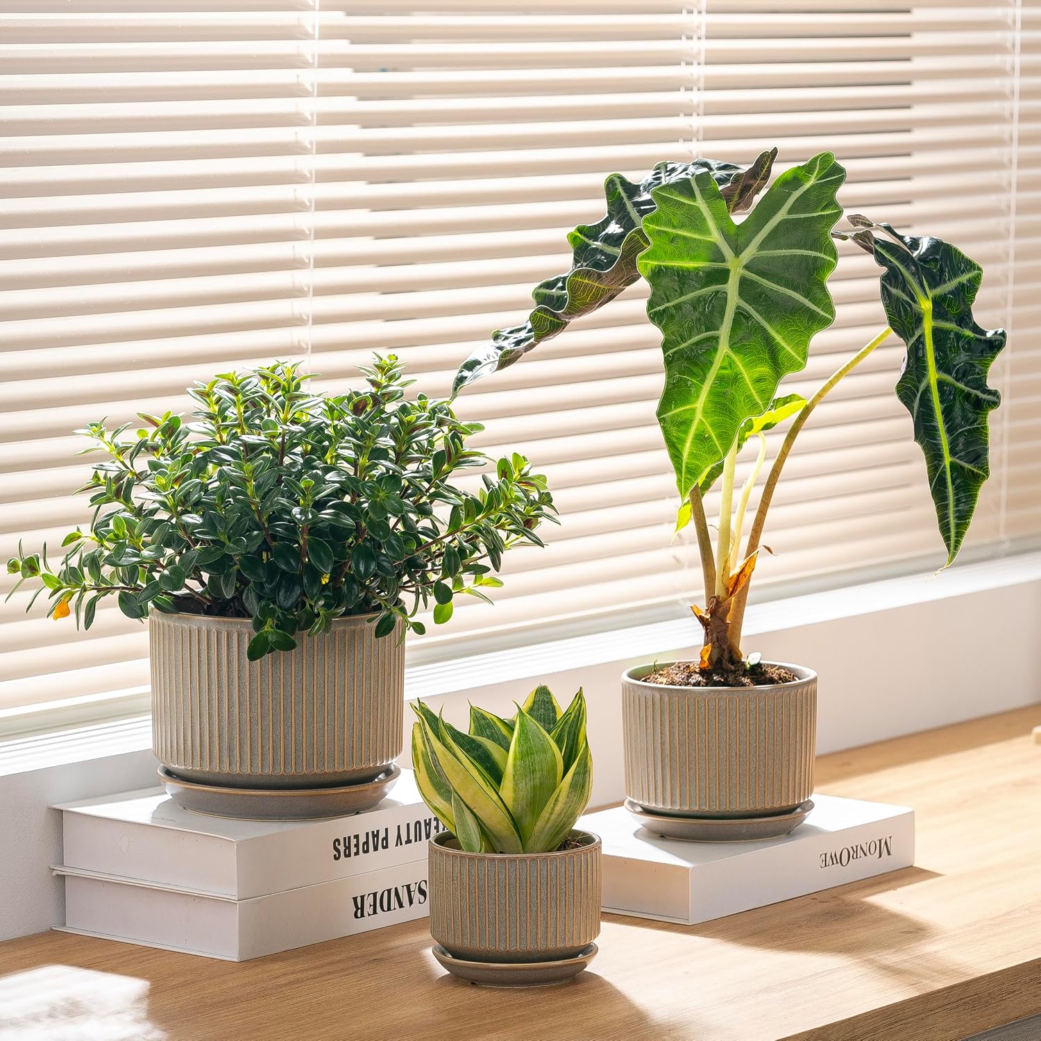 SURE YUESI Ceramic Plant Pots Set of 3, Indoor Outdoor Planters with Drainage Hole and Saucer, Ceramic Flower Pots for