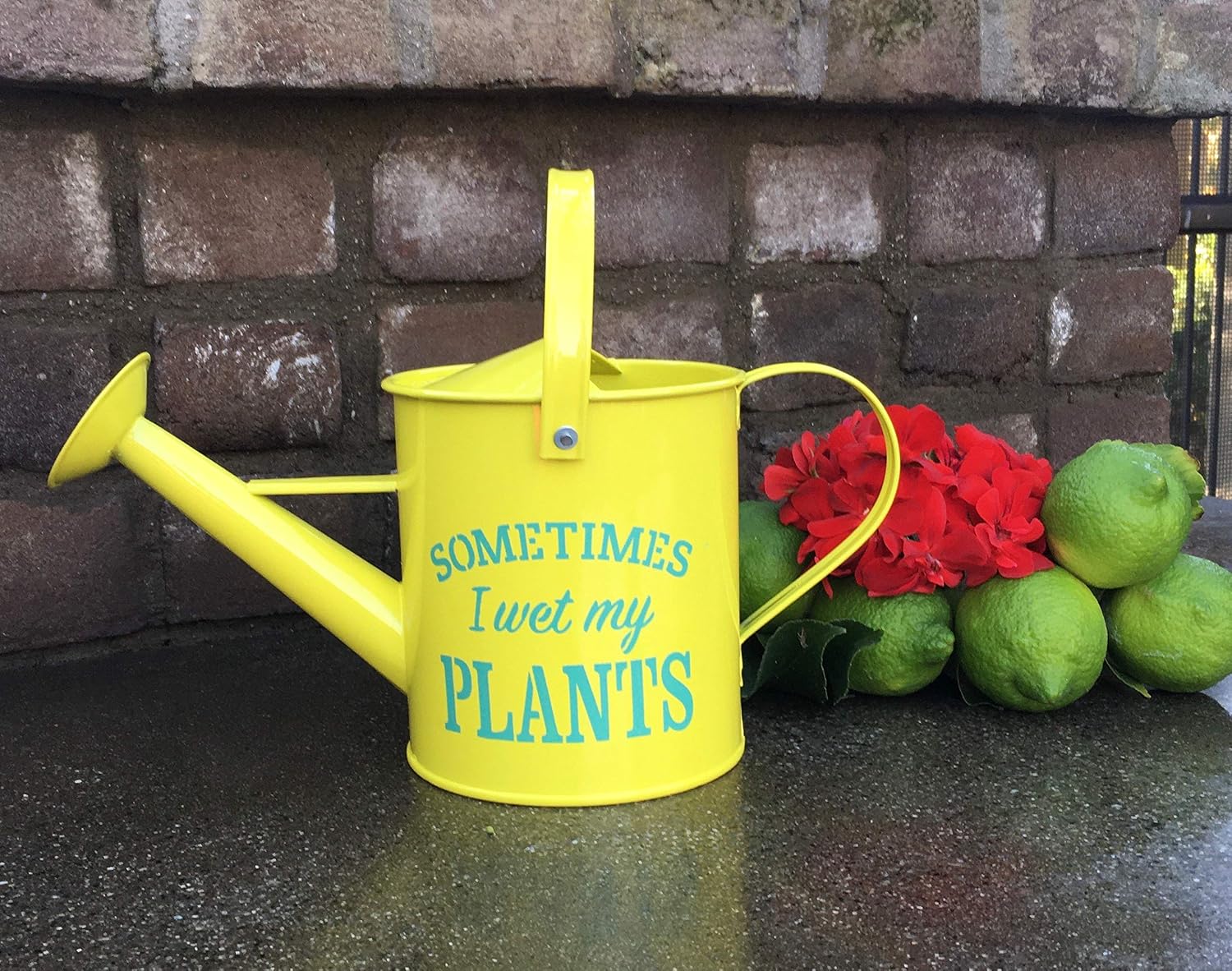 Small Indoor Watering Can - Gardening Gifts for Women -Sometimes I Wet My Plants- 1.6 L - Cute Watering Can for
