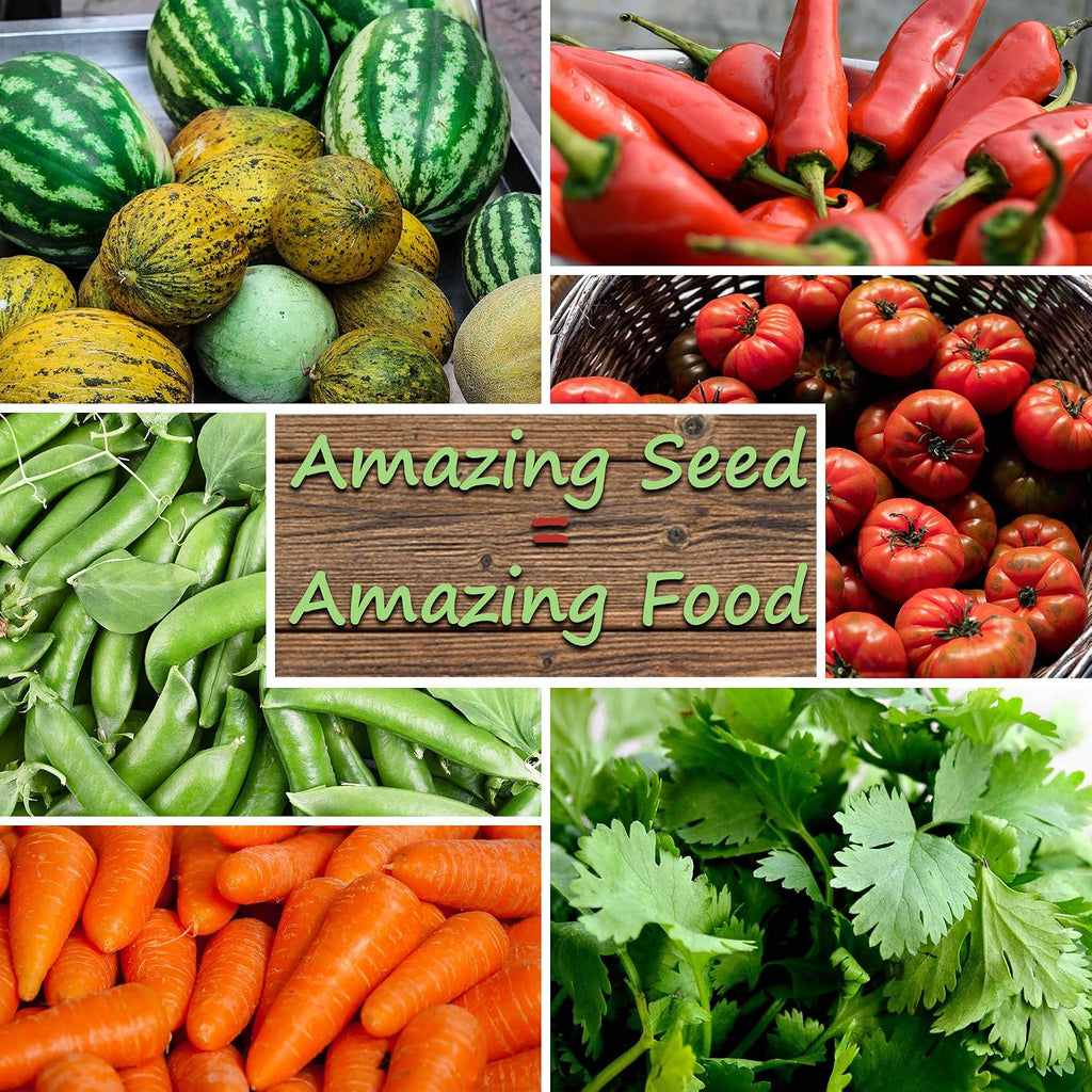 Sustainable Seed Co Bug Out Bag Survival Garden Vegetable & Herb Seeds | ~12,000 Seeds - Collection of 19 Heirloom Seed