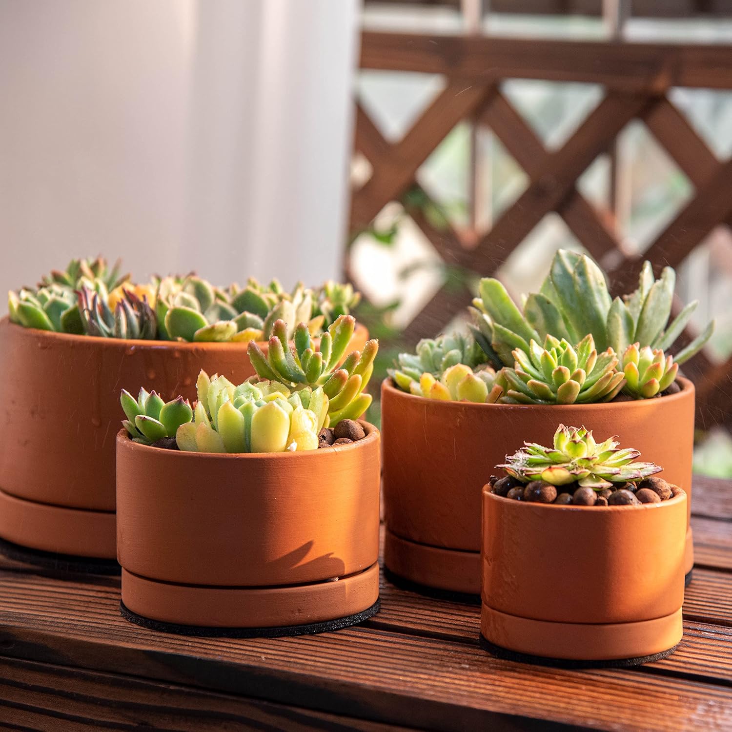 D'vine Dev Set of 4 Terracotta Shallow Planter Pots for Succulent, 3 Inch 4 Inch 5 Inch 6 Inch, Small Flower Plant Pots