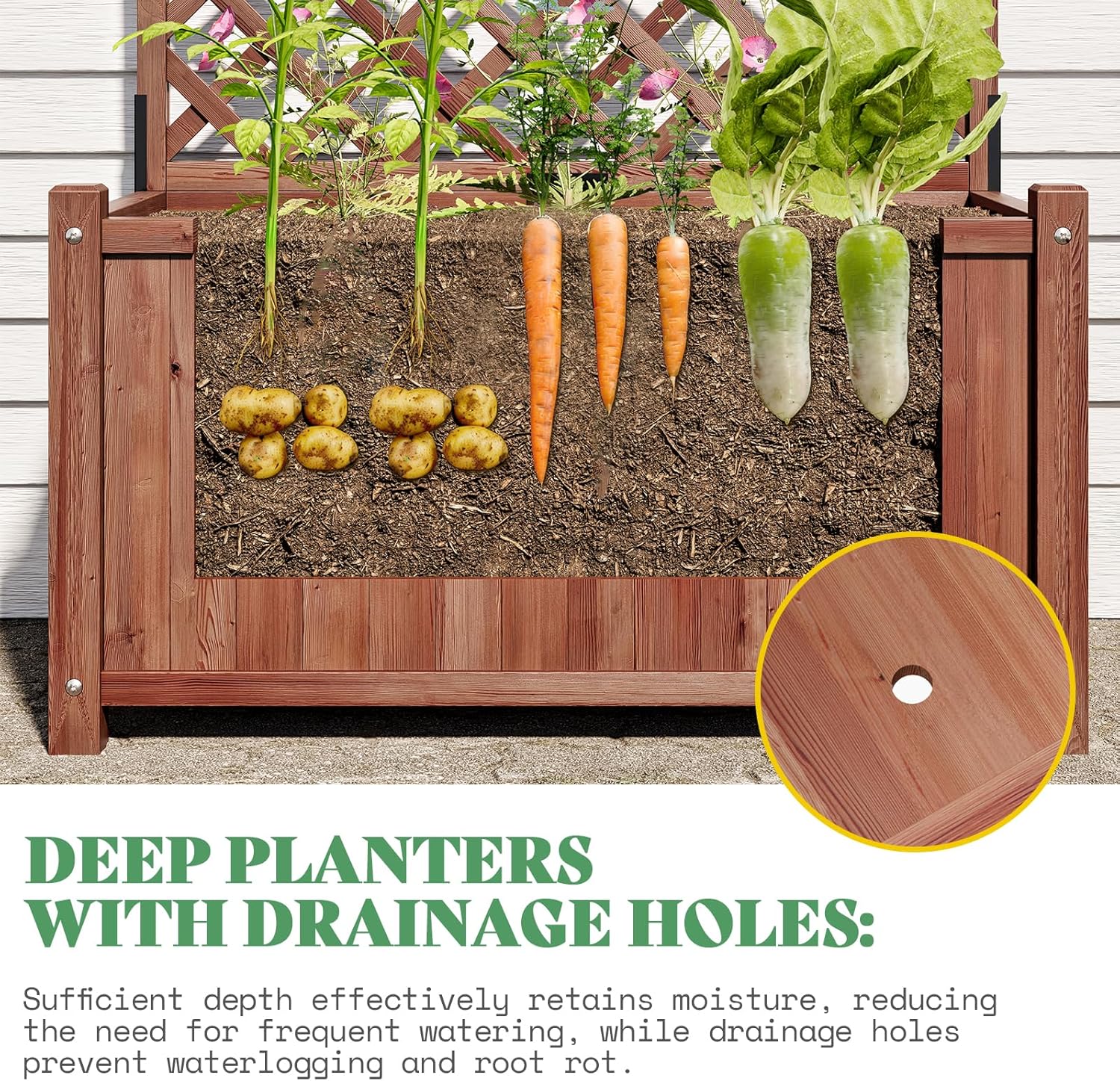 AMERLIFE Raised Garden Bed with 71" Trellis, Privacy Planter for Planting | Natural Wood Planter Box for Vegetables and