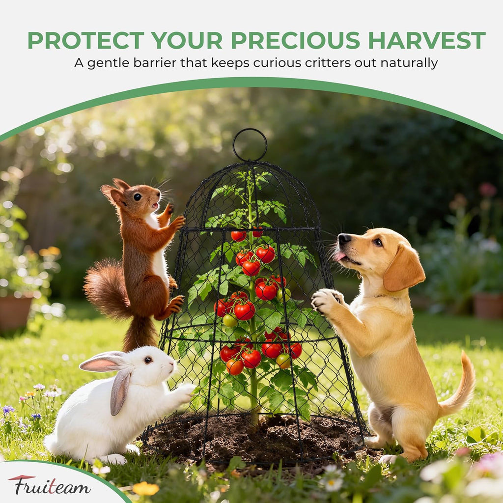 FRUITEAM Metal Plant Covers 6pcs, Heavy Duty Garden Cloche Plant Cage | 13"x15.8"H Rust-Proof Plant Protectors from