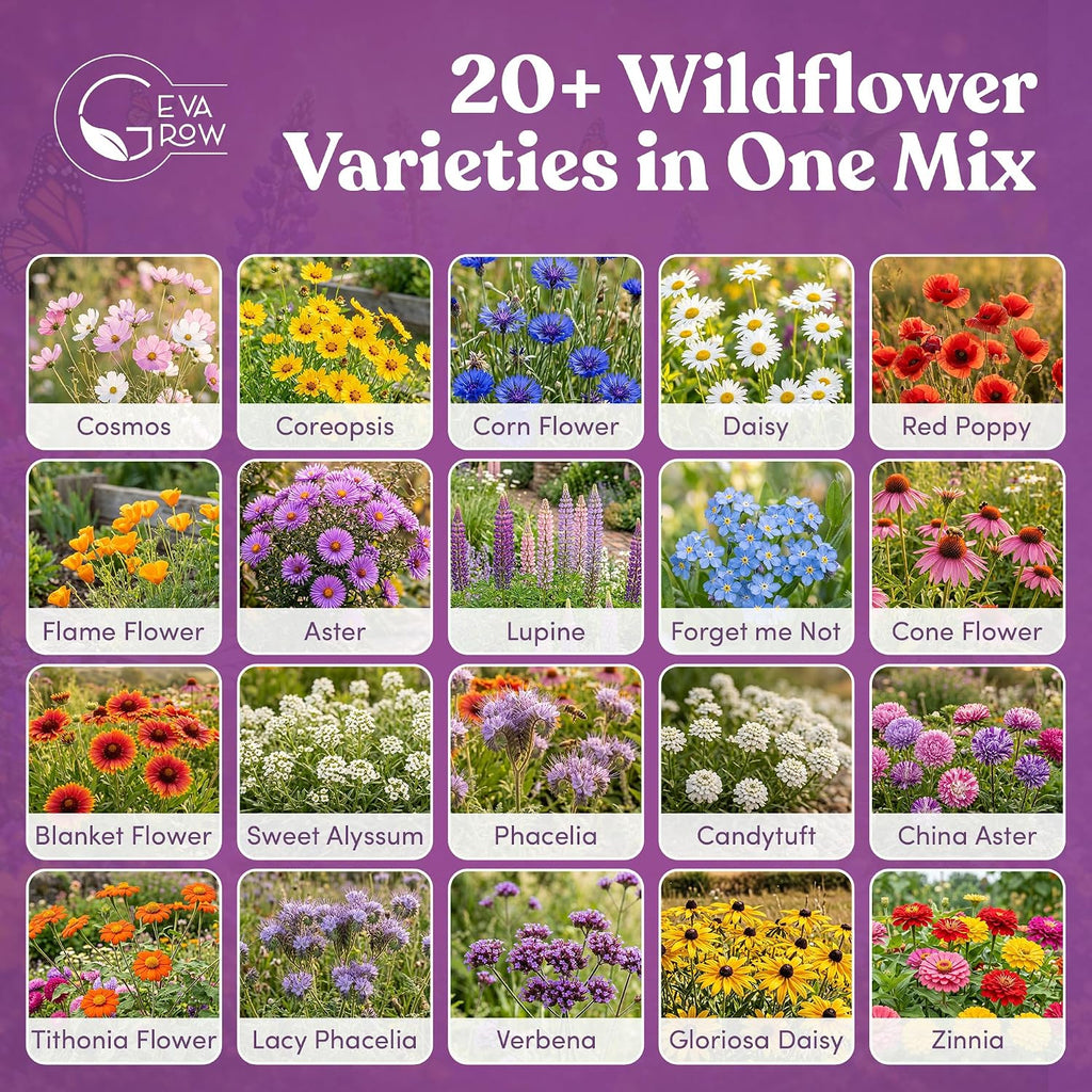 Bulk Wildflower Seed - Bird & Butterfly Garden Seed Mix | Bulk 300,000+ Annual & Perennial Flower Seeds for Planting