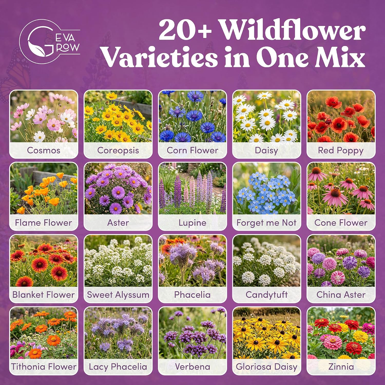 Bulk Wildflower Seed - Bird & Butterfly Garden Seed Mix | Bulk 300,000+ Annual & Perennial Flower Seeds for Planting