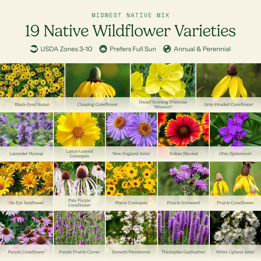 Eden Brothers Native Midwest Wildflower Seed Mix, 1/4lb, 19 Prairie Wild Flower Seed Varieties,100% Pure Seed No