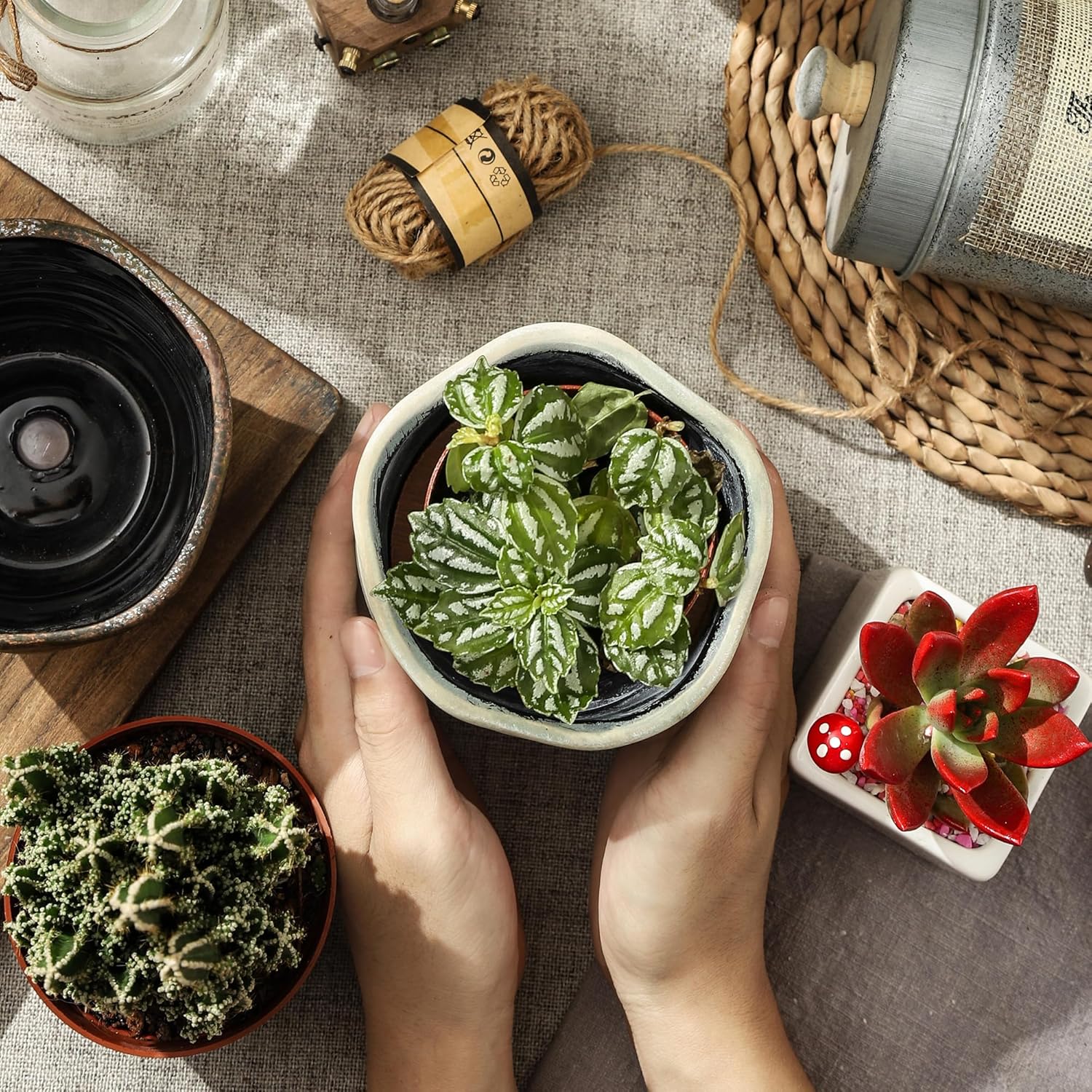 4+6 Inch Ceramic Planter Set of 2 with Drainage Hole,Saucer for Plants, Indoor-Outdoor Large Round Succulent Orchid
