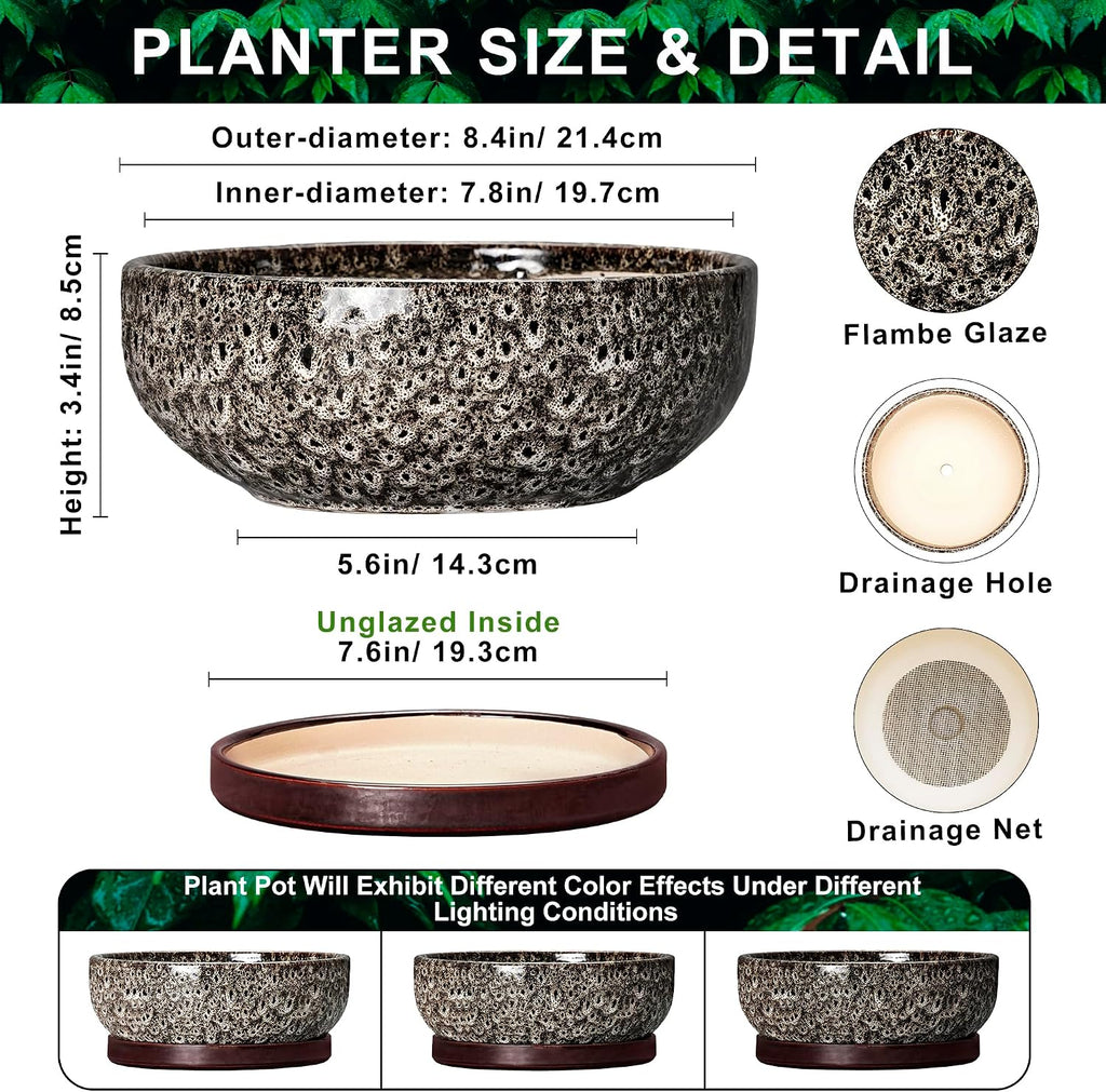 Bonsai Pots, 8 Inch Ceramic Succulent Pot with Saucer, White Leopard | Bonsai Planter for Indoor Plants, Round Shallow