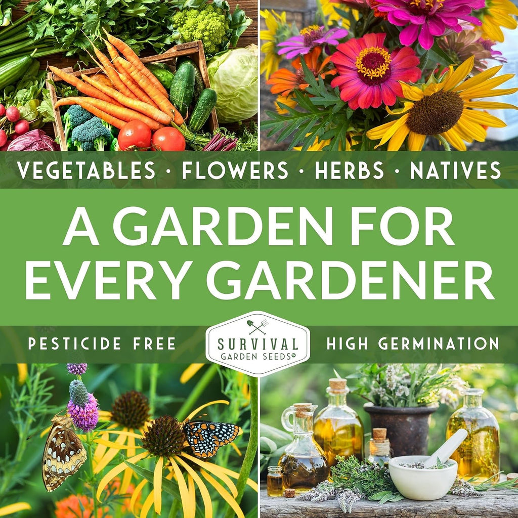 Homesteader 50 Pack Seed Vault for Planting Victory Gardens | Non-GMO Heirloom Vegetable, Fruit, Herb Seeds to Grow