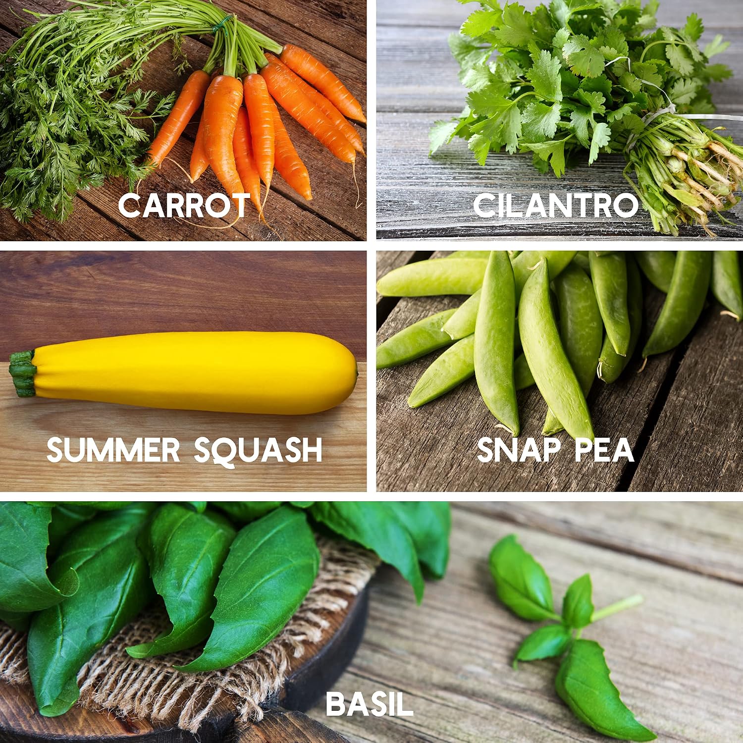 Mountain Valley Seed Co 10 Assorted Organic Vegetable Seeds for Planting | ~3,200 + Heirloom Non-GMO Fruit Seeds, Herb