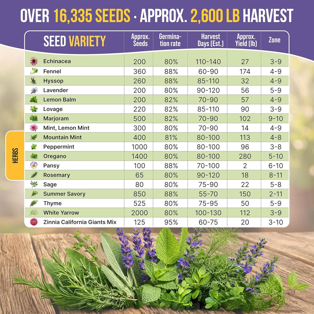 35 Medicinal & Tea Herb Seeds Variety Pack for Indoor & Outdoors. 16,335+ Non-GMO Heirloom Garden Seeds: Anise