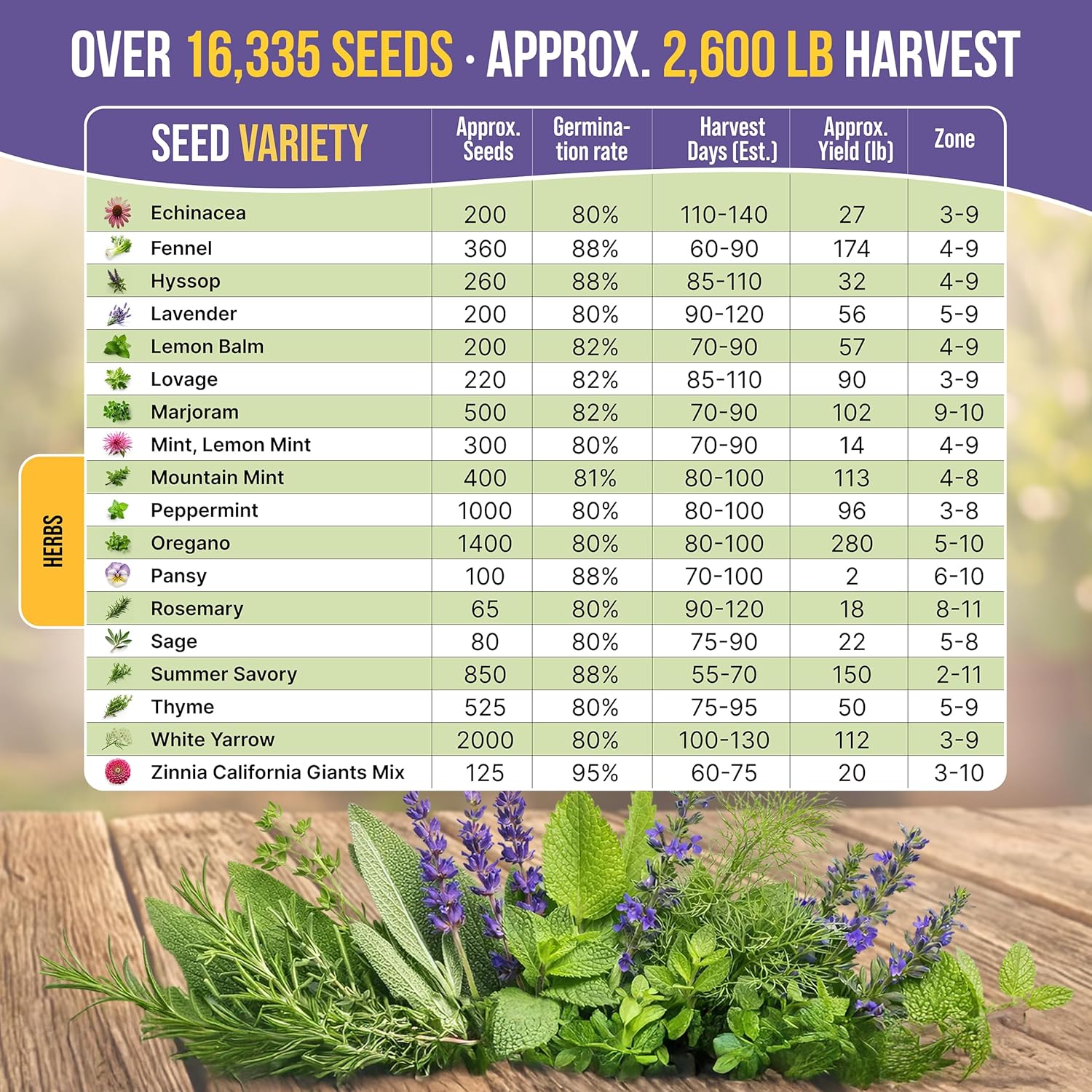 35 Medicinal & Tea Herb Seeds Variety Pack for Indoor & Outdoors. 16,335+ Non-GMO Heirloom Garden Seeds: Anise