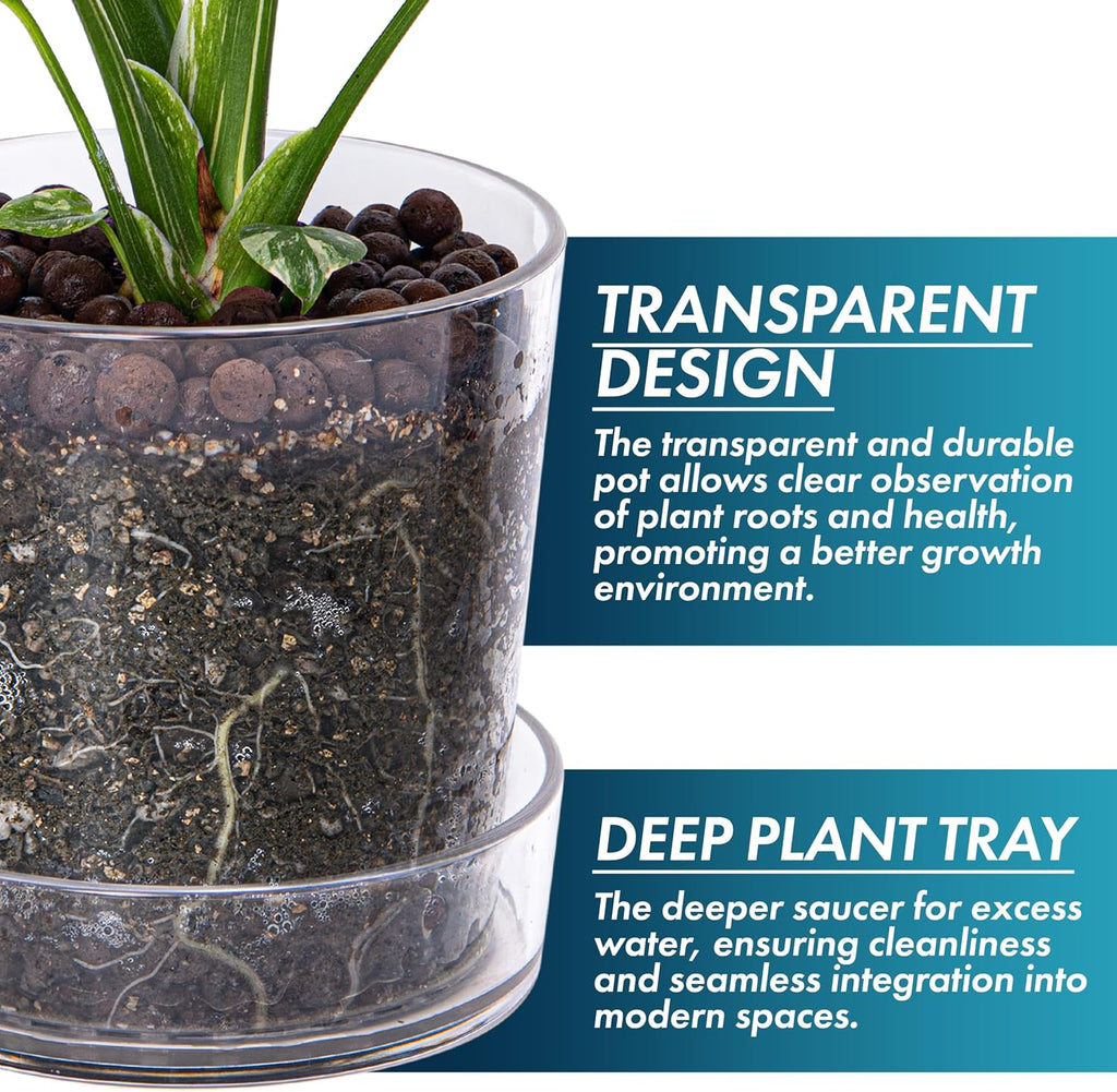 Phoenix Vine 4.5 Inch 6.5 Inch Clear Acrylic Houseplants Planter Pot with Tray, Orchid Pot with Drainage Holes, Deep