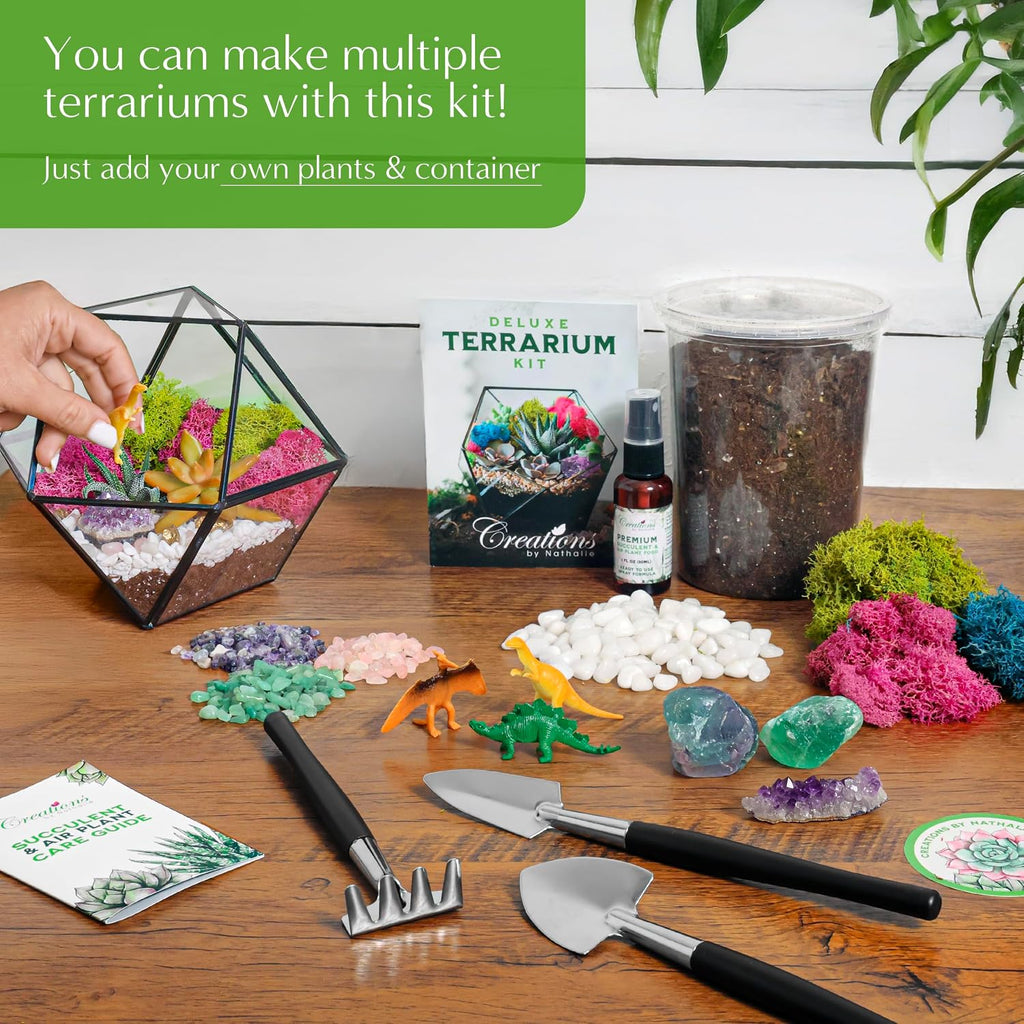 Creations by Nathalie – DIY Large Terrarium Starter Kit with Soil, Moss, Pebbles, Healing Crystal, Tools & Supplies –