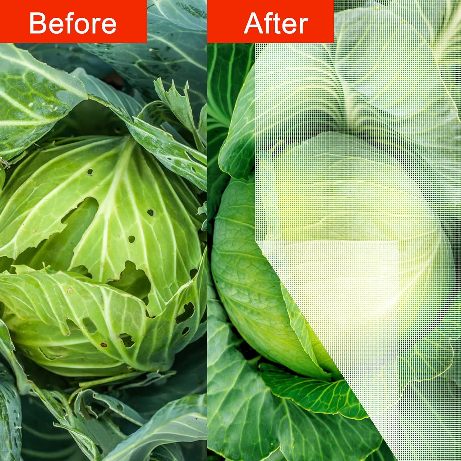 Agfabric Bird Netting 84" Hx84 W Garden Netting Insect Pest Barrier,Plant Cover Fruit Tree Netting Mesh Protection Bag