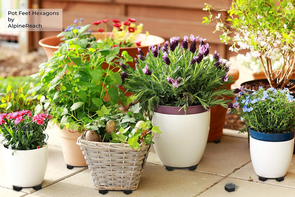 AlpineReach Extra Heavy Duty Pot Feet Risers 20 Pack Hexagons & Adhesive Pads - Protect Healthy Plants - Strong
