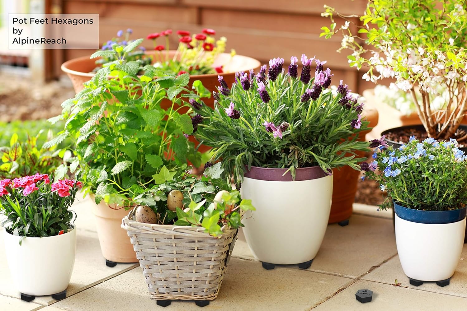 AlpineReach Extra Heavy Duty Pot Feet Risers 20 Pack Hexagons & Adhesive Pads - Protect Healthy Plants - Strong