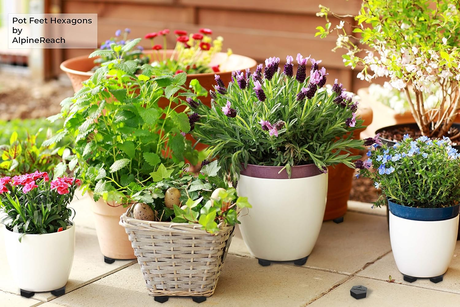 AlpineReach Extra Heavy Duty Pot Feet Risers 12 Pack Hexagons & Adhesive Pads - Protect Healthy Plants - Strong