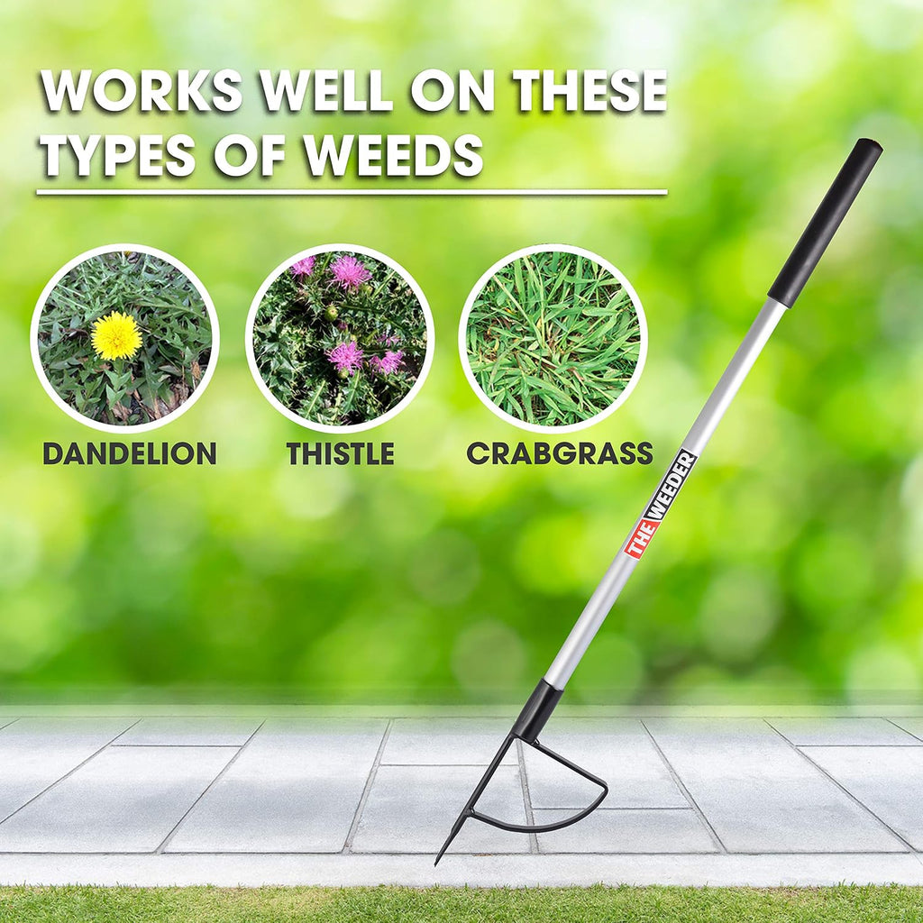 Standing Plant Root Remover and Weed Puller - Lightweight and Durable Metal Design with Aluminum Shaft and Steel Claw