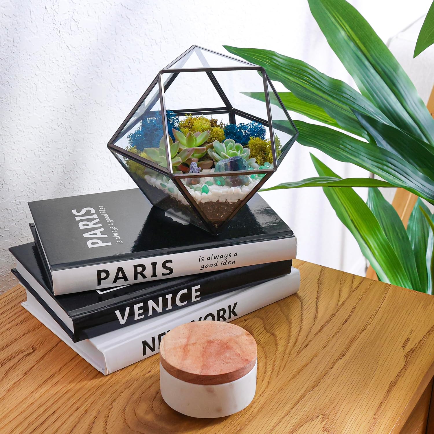 Creations by Nathalie DIY Geometric Terrarium Kit with Live Plant and Moss | DIY geometric glass terrarium kit with